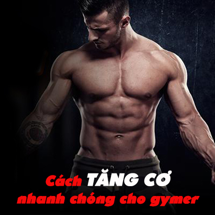 Các cách tăng cơ giảm mỡ hiệu quả cho người tập gym